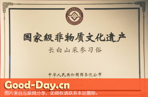 长白山采参习俗